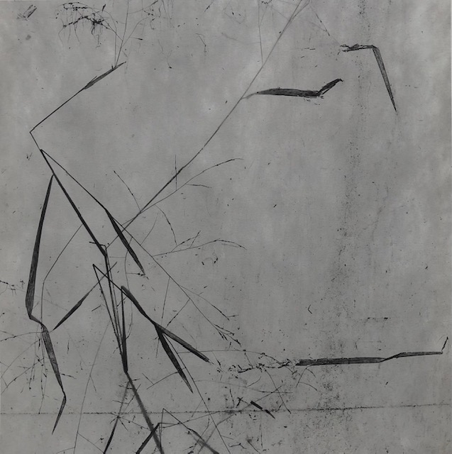 Untitled, Weed series (4)